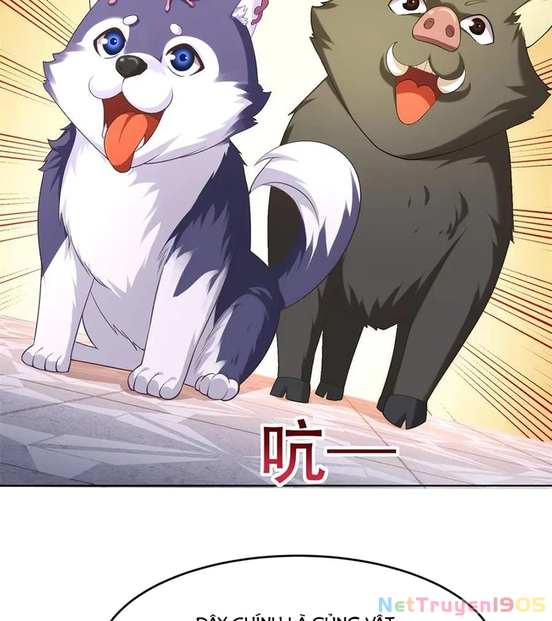 Cửa hàng sủng vật thần kỳ Chapter  3 - 77