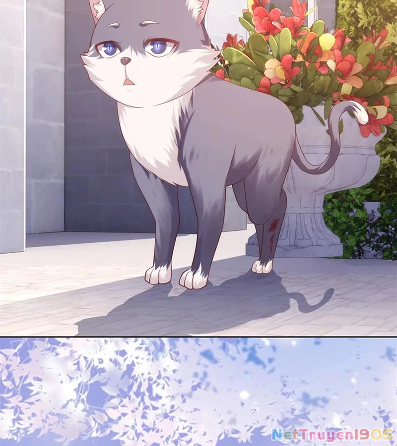 Cửa hàng sủng vật thần kỳ Chapter 4 - 38