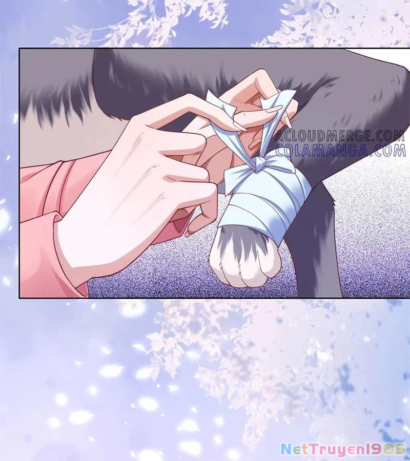 Cửa hàng sủng vật thần kỳ Chapter 4 - 39