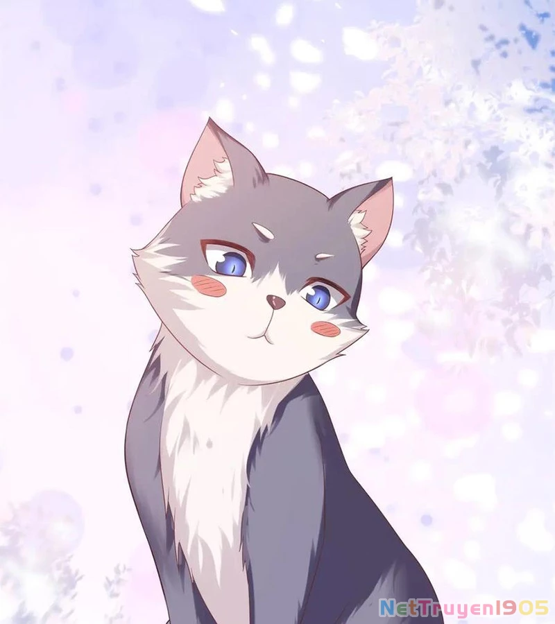 Cửa hàng sủng vật thần kỳ Chapter 4 - 40