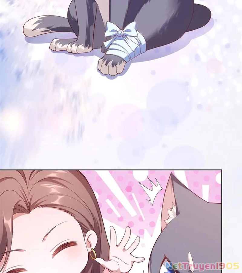 Cửa hàng sủng vật thần kỳ Chapter 4 - 41