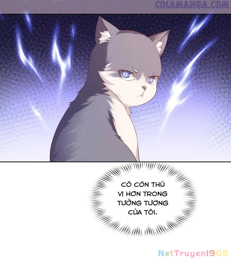 Cửa hàng sủng vật thần kỳ Chapter 4 - 48