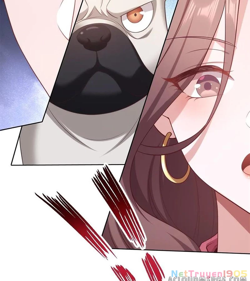 Cửa hàng sủng vật thần kỳ Chapter 4 - 66