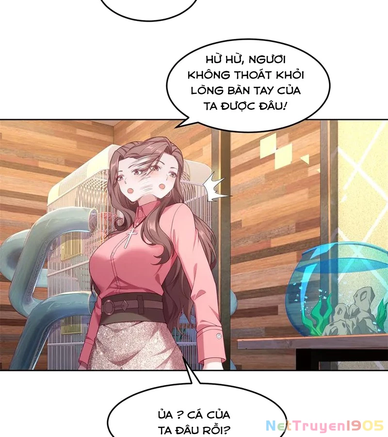 Cửa hàng sủng vật thần kỳ Chapter 4 - 73