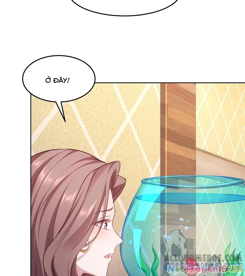 Cửa hàng sủng vật thần kỳ Chapter 4 - 74