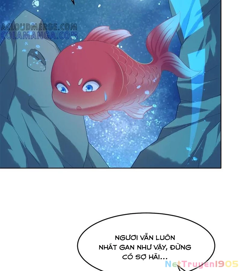 Cửa hàng sủng vật thần kỳ Chapter 4 - 80