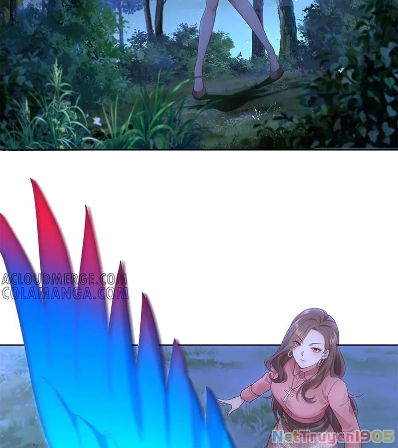 Cửa hàng sủng vật thần kỳ Chapter 5 - 49
