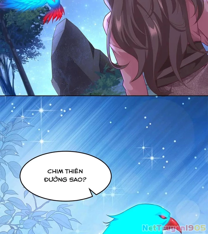 Cửa hàng sủng vật thần kỳ Chapter 5 - 51