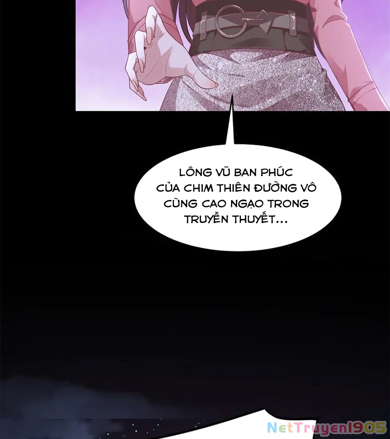 Cửa hàng sủng vật thần kỳ Chapter 5 - 56