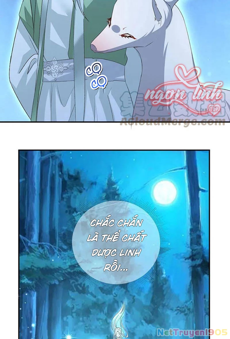 Long Vương Truy Thê Chapter 17 - 25