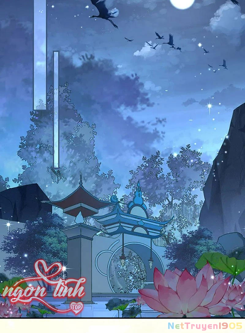 Long Vương Truy Thê Chapter 18 - 6