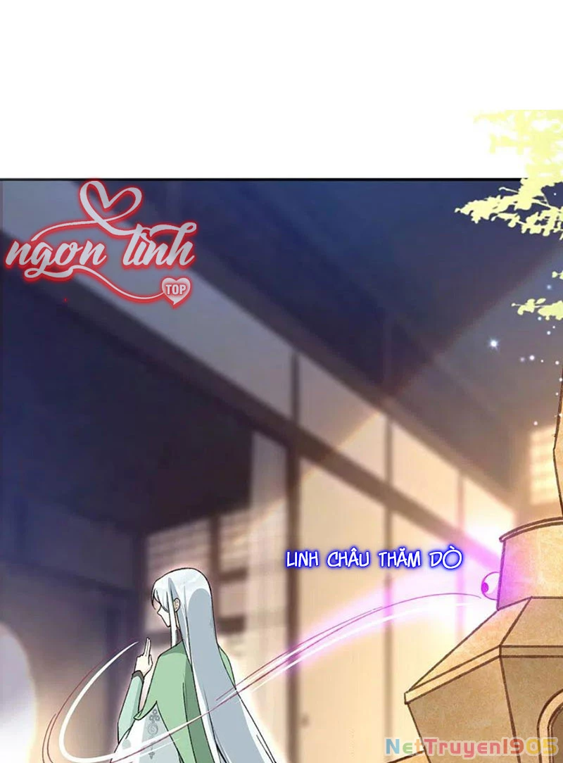 Long Vương Truy Thê Chapter 20 - 6