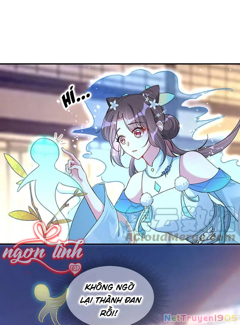 Long Vương Truy Thê Chapter 20 - 15