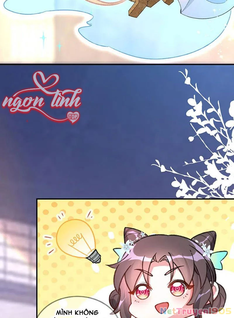 Long Vương Truy Thê Chapter 20 - 17