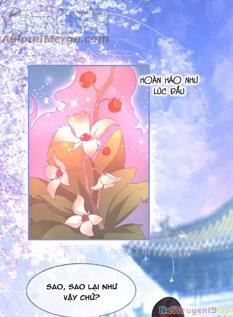 Long Vương Truy Thê Chapter 21 - 9