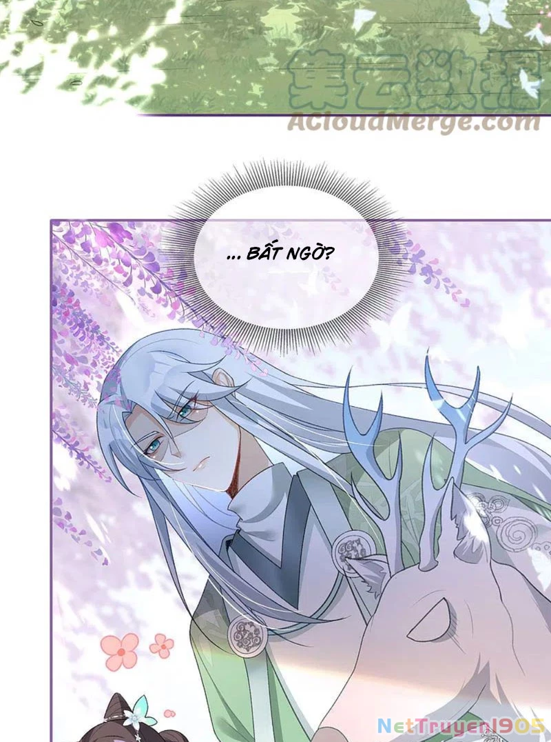Long Vương Truy Thê Chapter 22 - 12