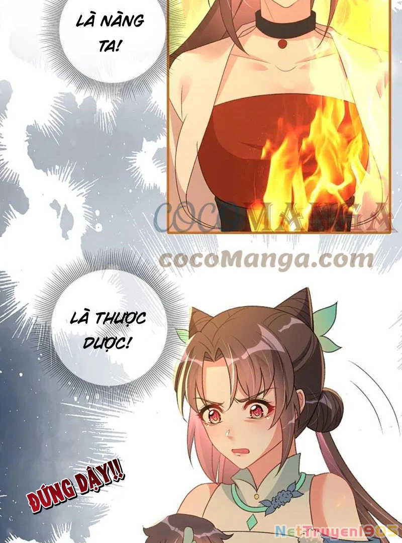 Long Vương Truy Thê Chapter 24 - 12