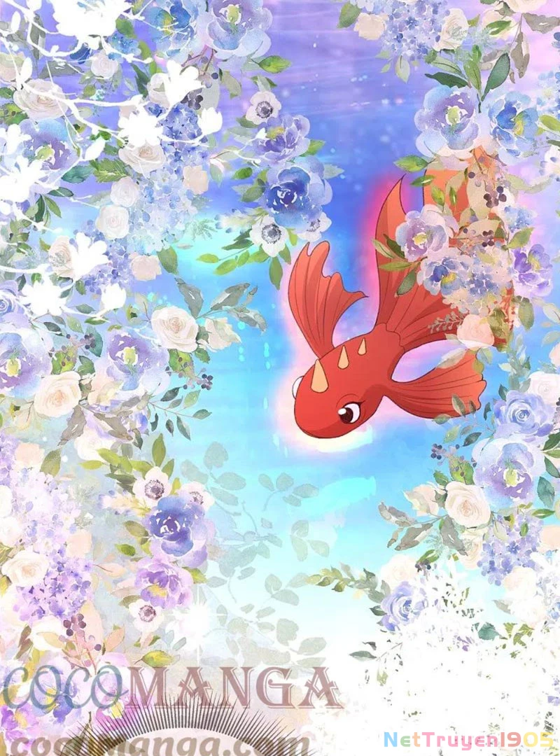 Long Vương Truy Thê Chapter 24 - 17