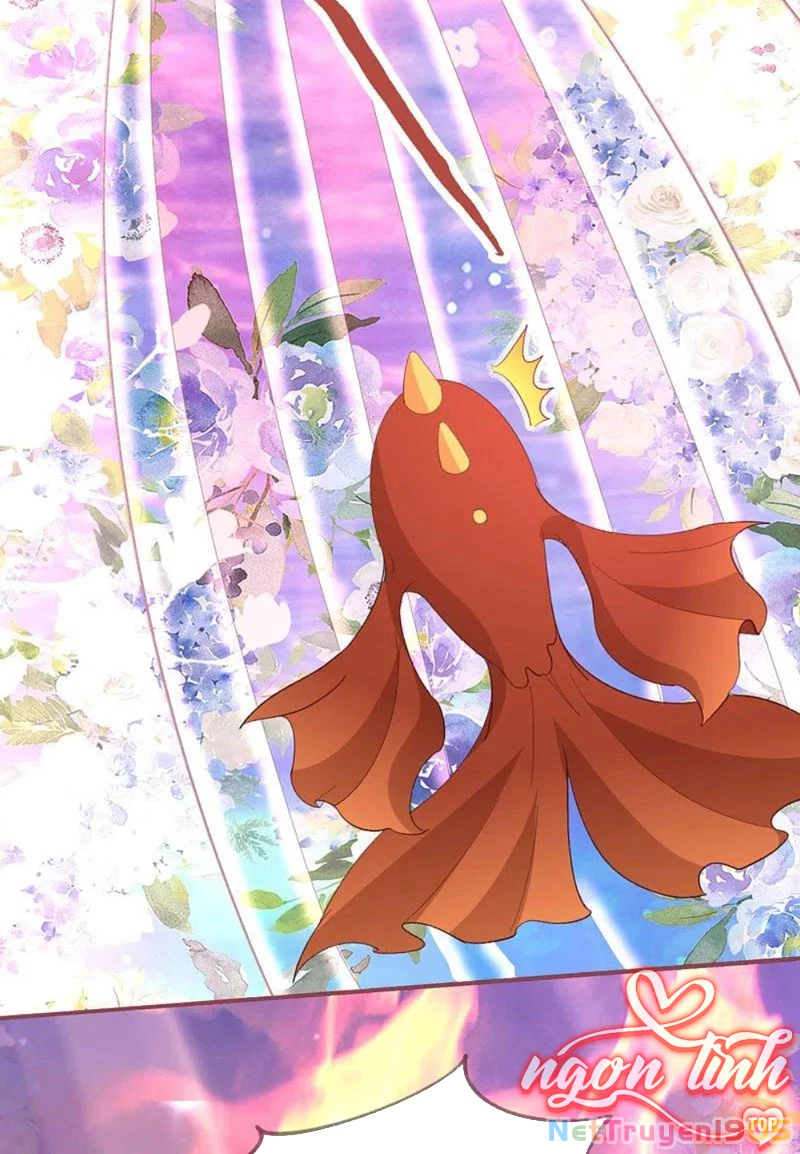 Long Vương Truy Thê Chapter 24 - 24