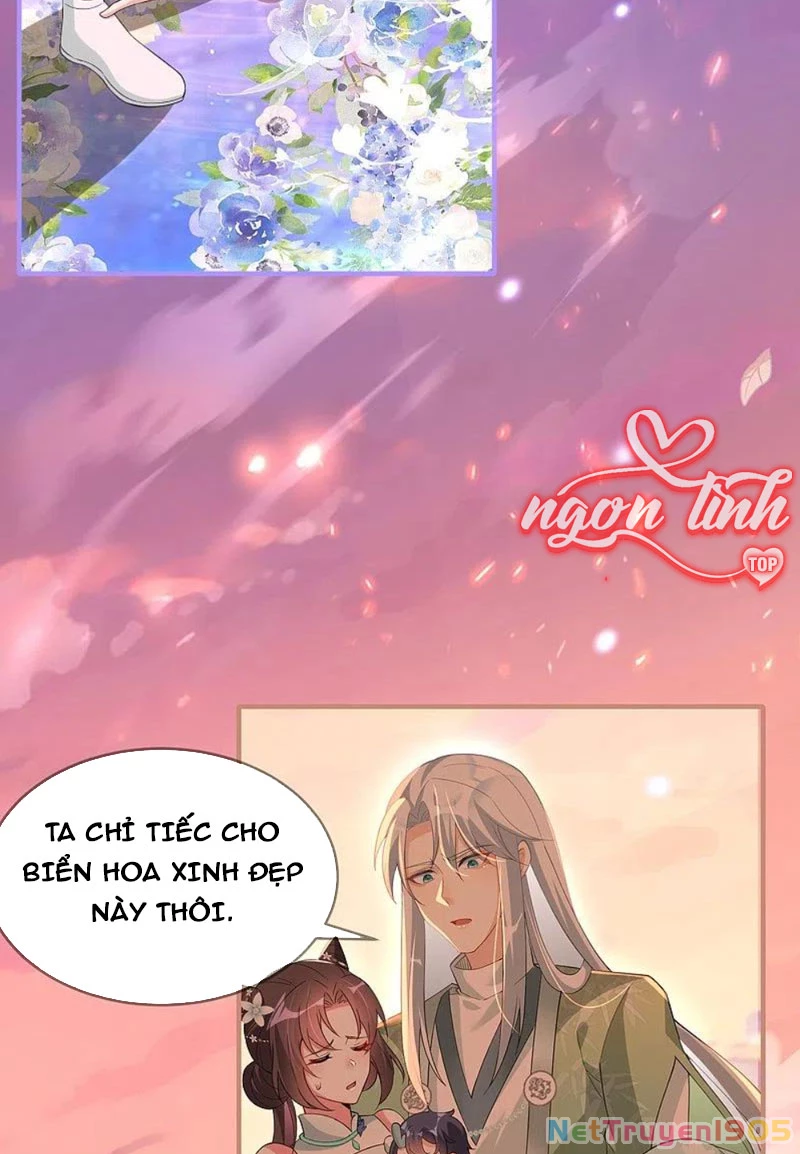 Long Vương Truy Thê Chapter 24 - 33