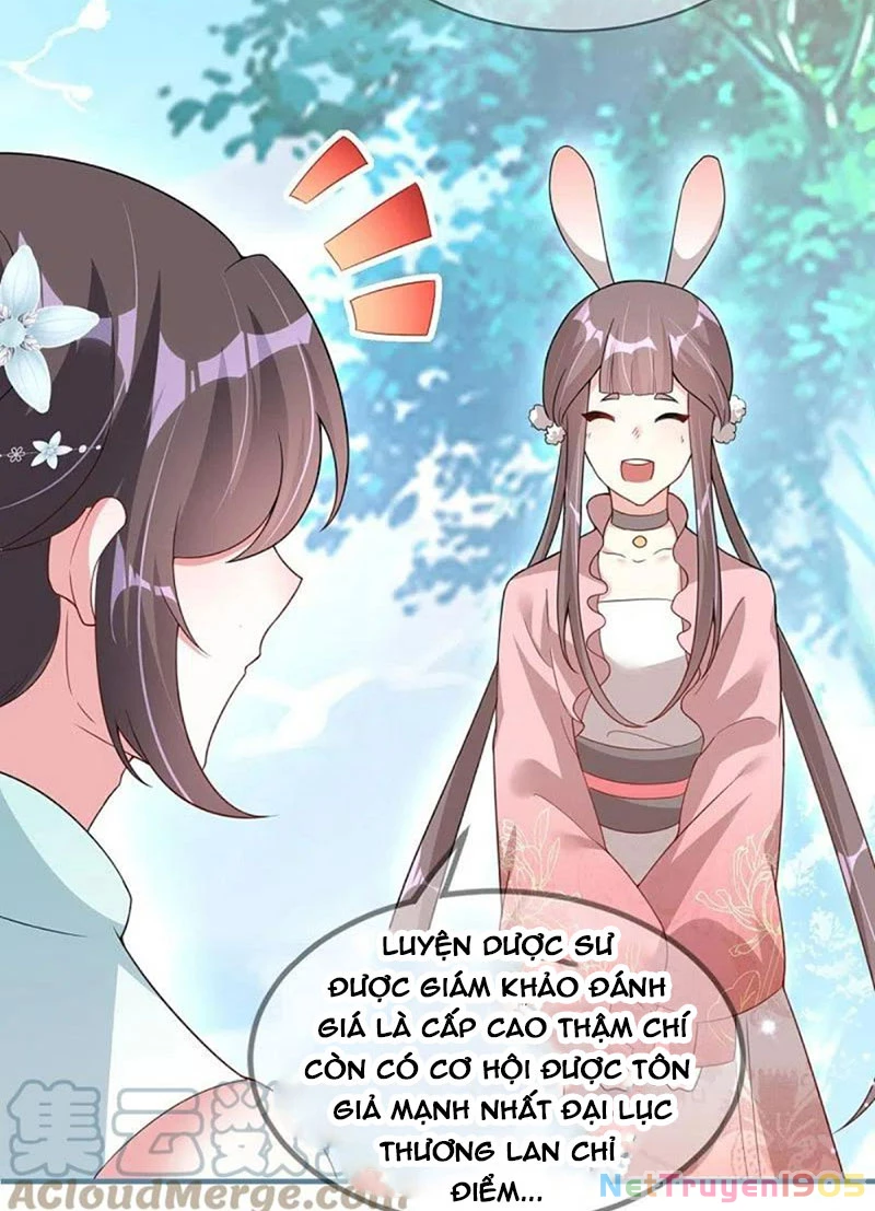 Long Vương Truy Thê Chapter 26 - 25