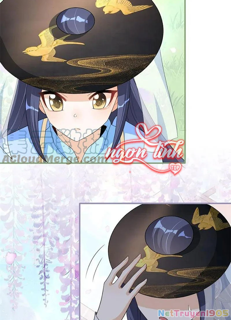 Long Vương Truy Thê Chapter 26 - 33