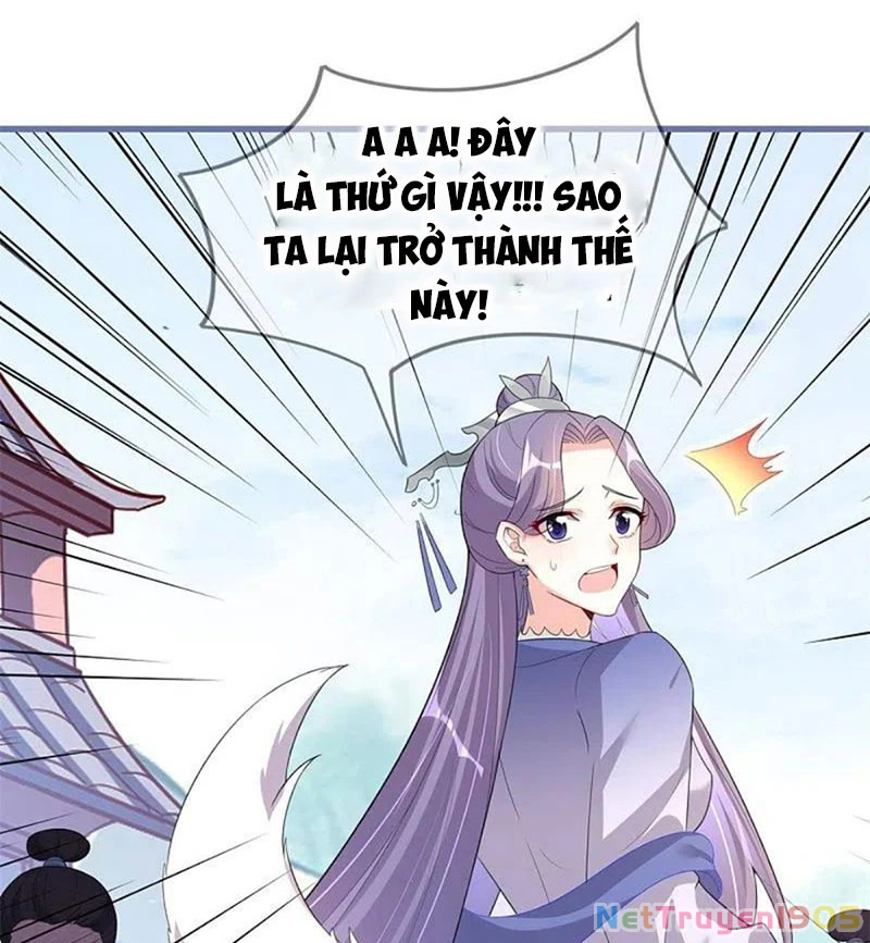 Long Vương Truy Thê Chapter 28 - 11