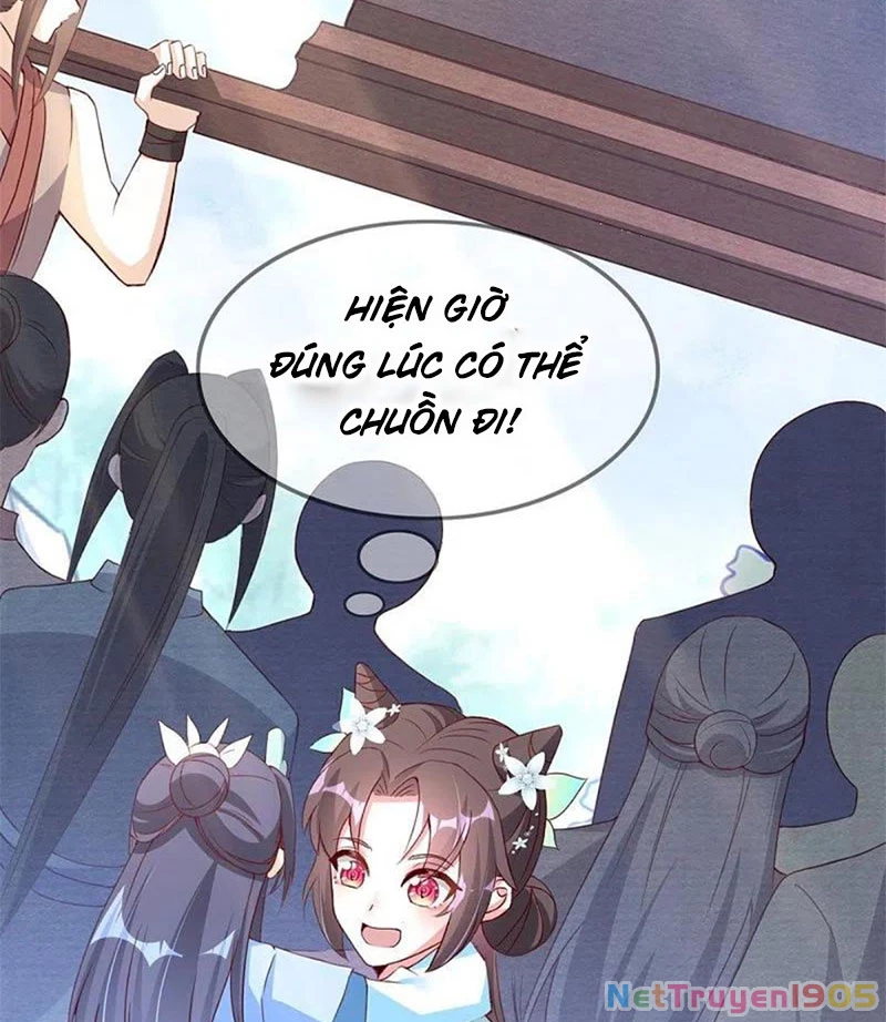 Long Vương Truy Thê Chapter 28 - 38