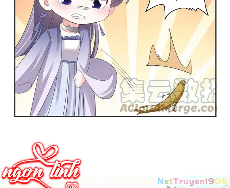 Long Vương Truy Thê Chapter 29 - 36