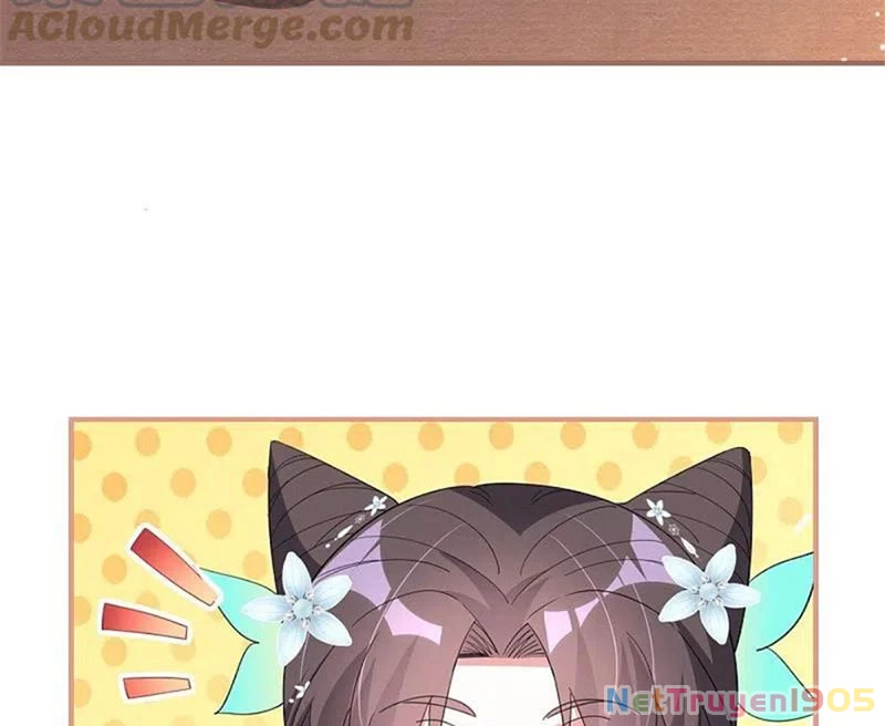 Long Vương Truy Thê Chapter 29 - 49