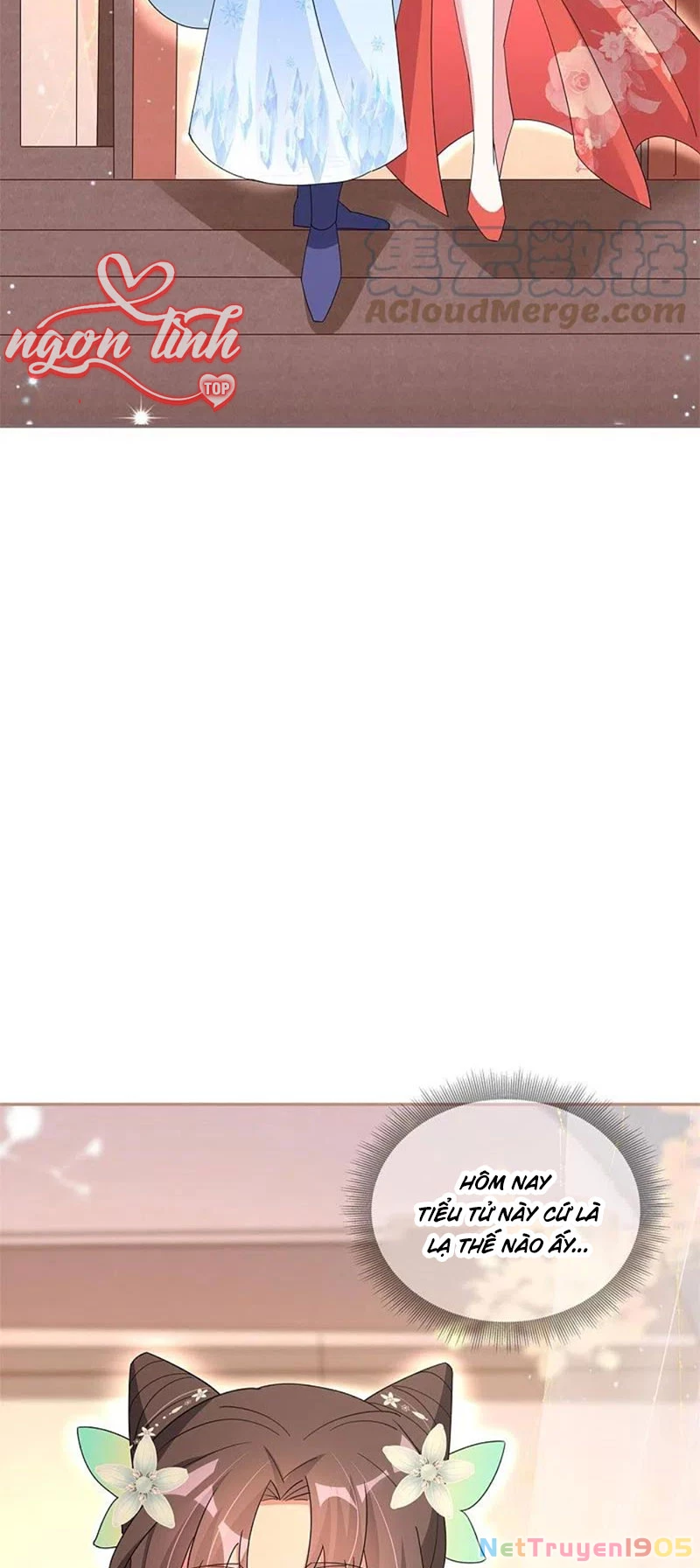 Long Vương Truy Thê Chapter 32 - 11