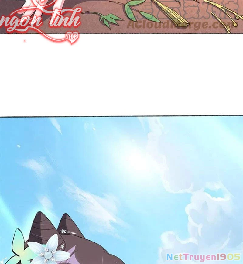 Long Vương Truy Thê Chapter 34 - 4