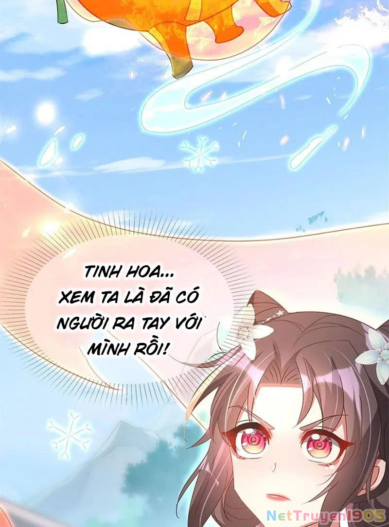 Long Vương Truy Thê Chapter 35 - 11