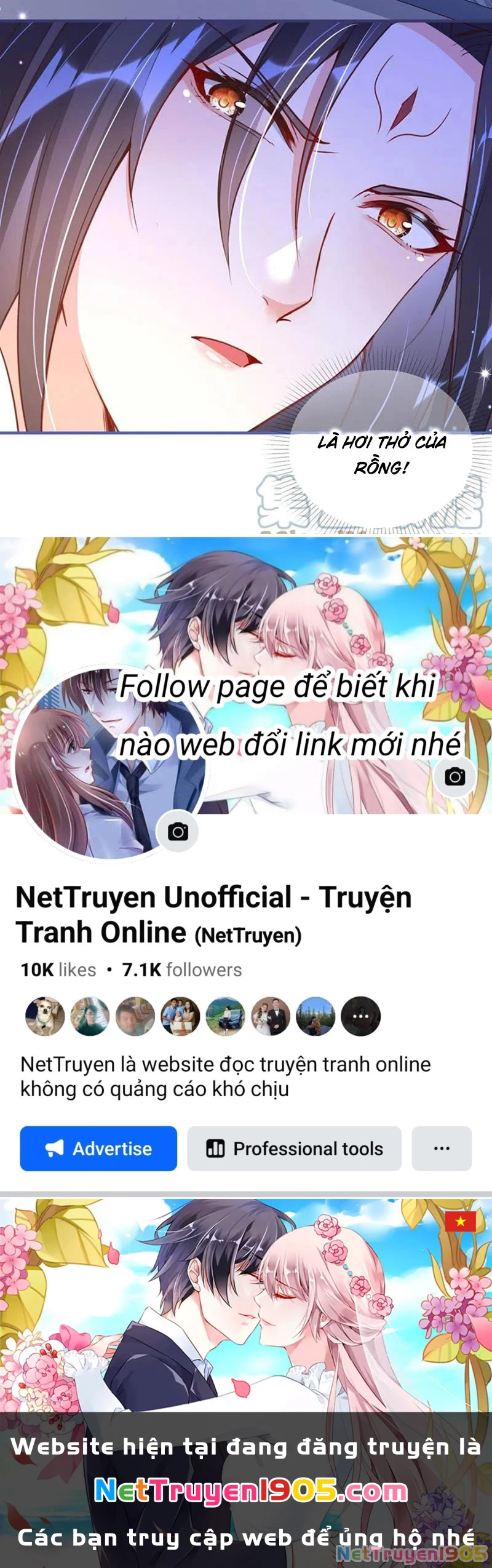 Long Vương Truy Thê Chapter 36 - 51