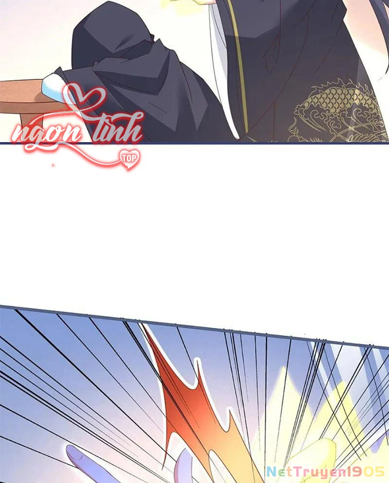 Long Vương Truy Thê Chapter 37 - 11