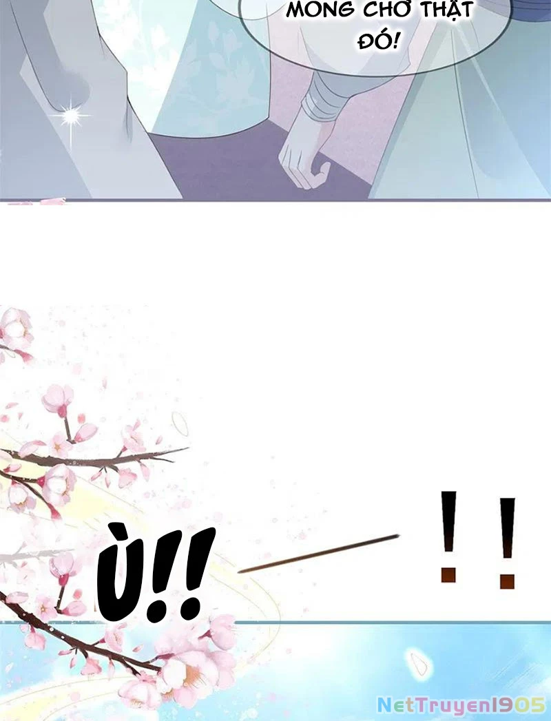 Long Vương Truy Thê Chapter 37 - 33