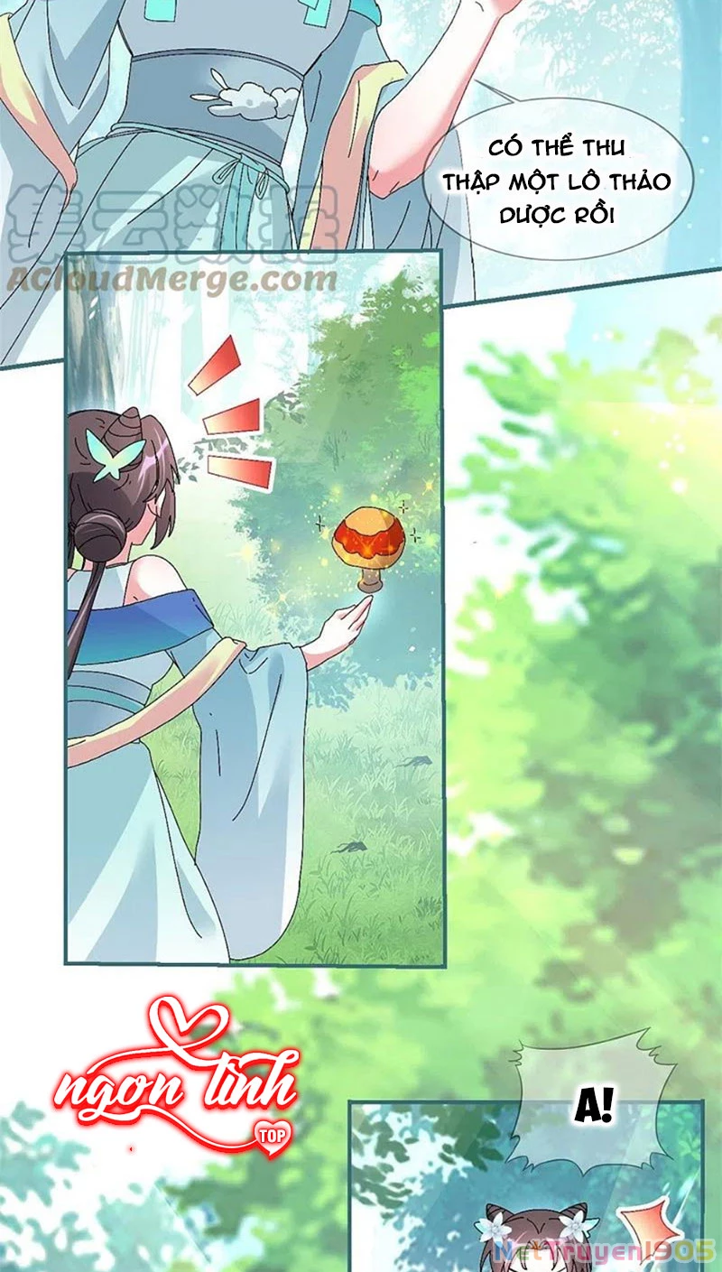 Long Vương Truy Thê Chapter 37 - 45