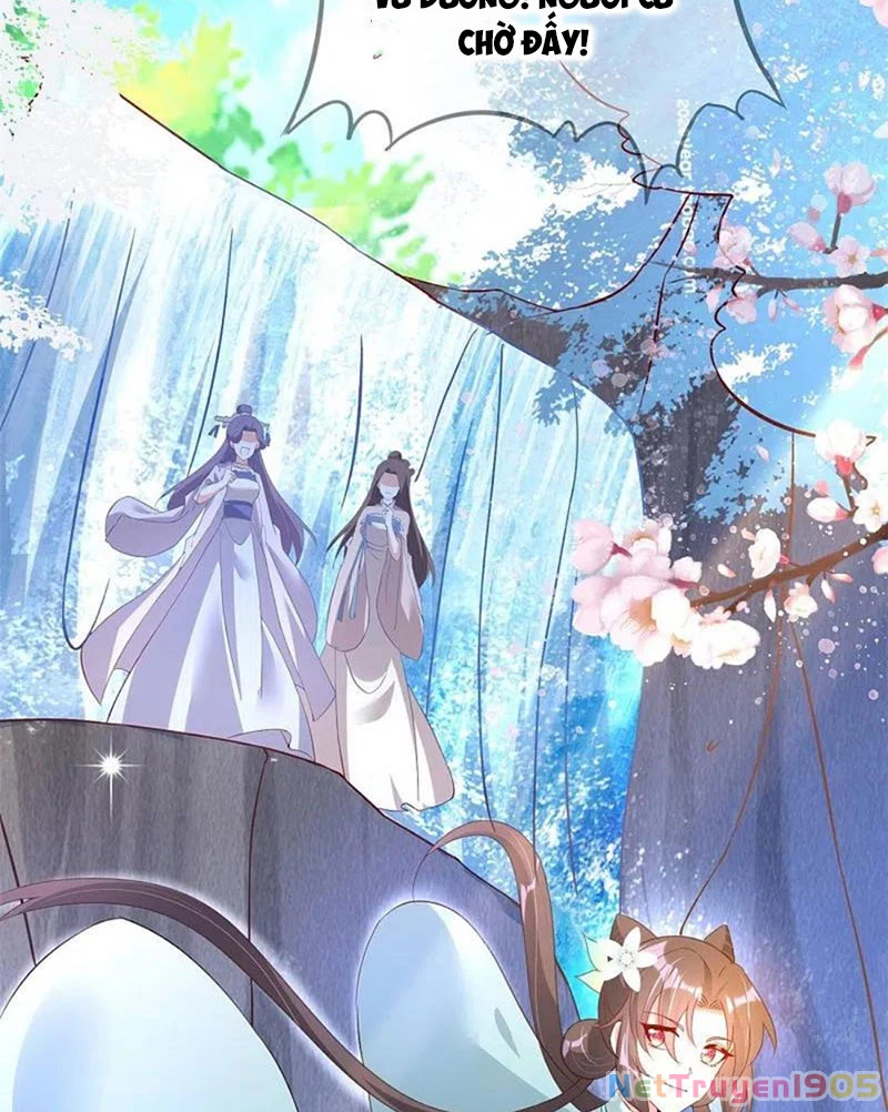 Long Vương Truy Thê Chapter 38 - 37