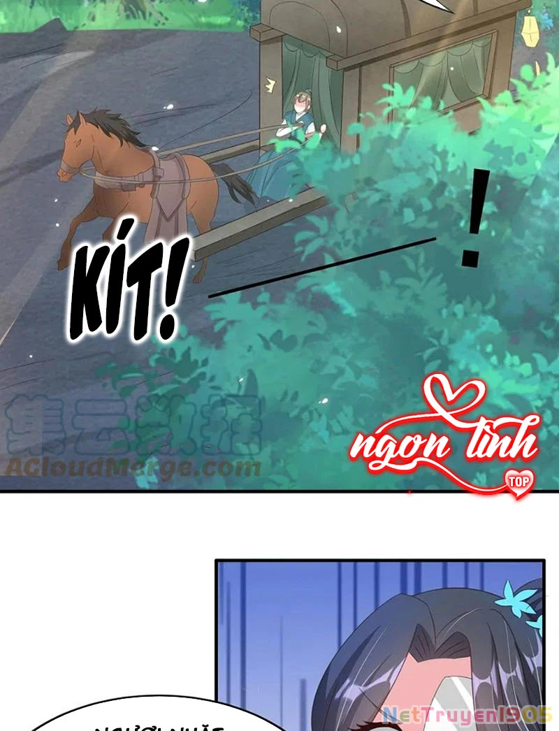Long Vương Truy Thê Chapter 41 - 25