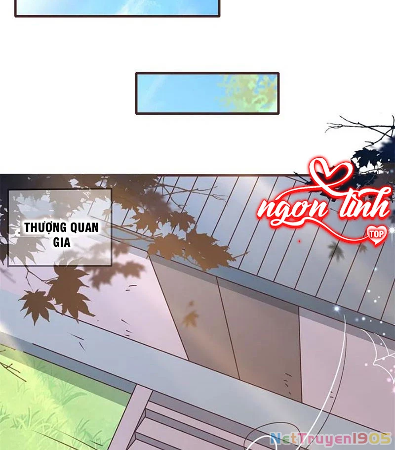Long Vương Truy Thê Chapter 42 - 30
