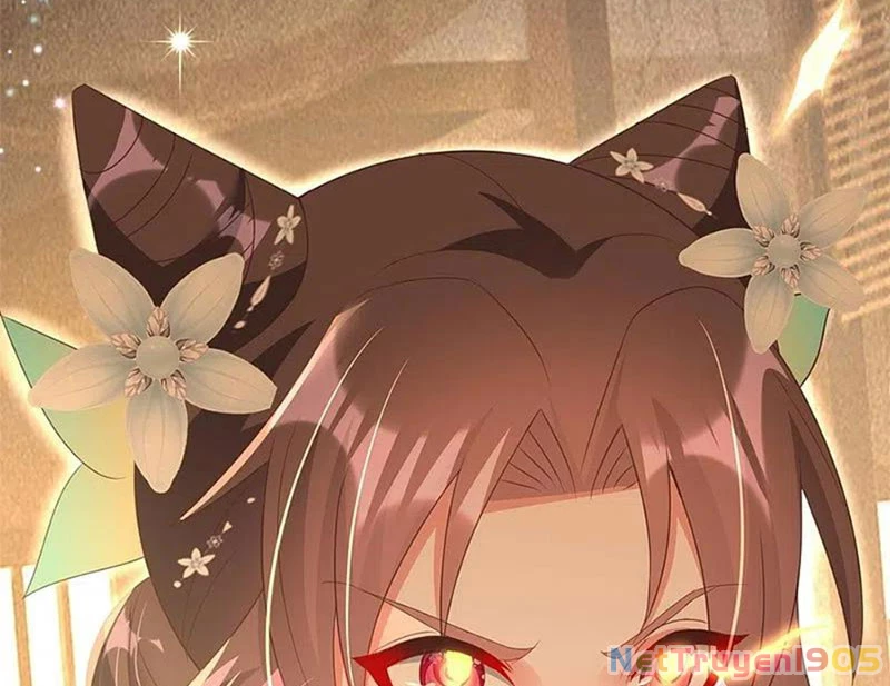 Long Vương Truy Thê Chapter 42 - 60