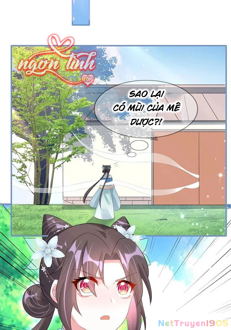 Long Vương Truy Thê Chapter 45 - 38