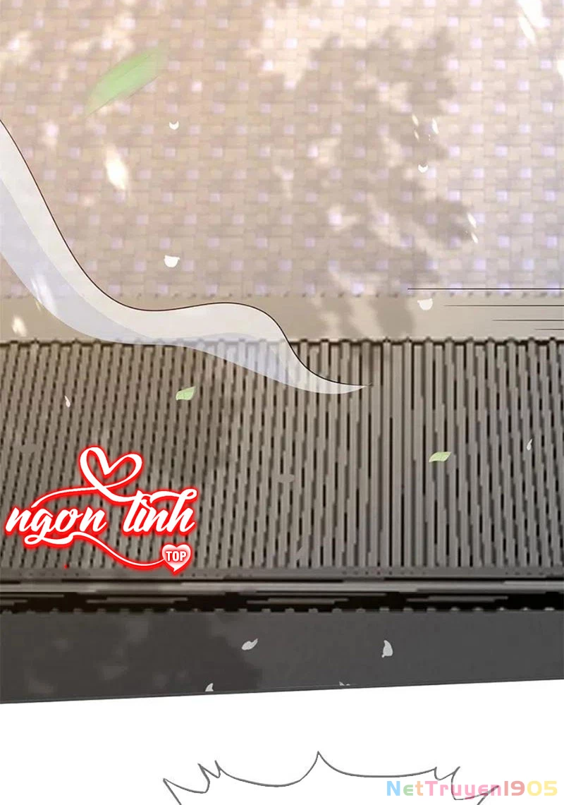 Long Vương Truy Thê Chapter 45 - 42