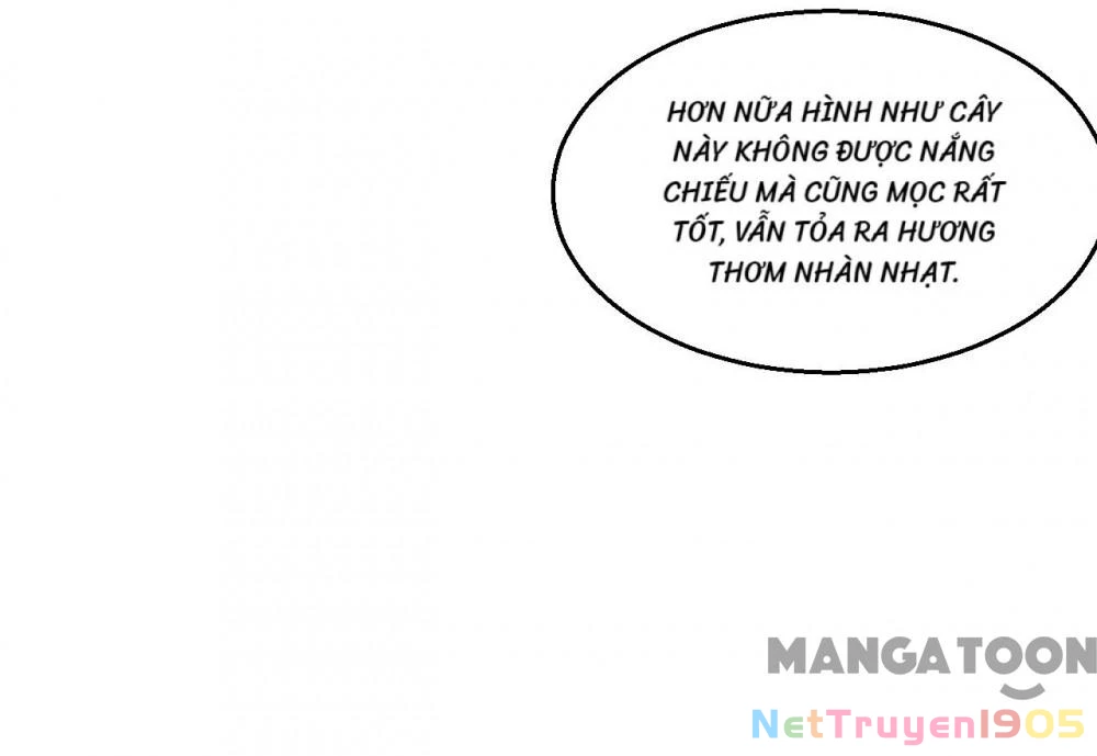 Tuyệt Phẩm Y Thánh Chapter 261 - 9