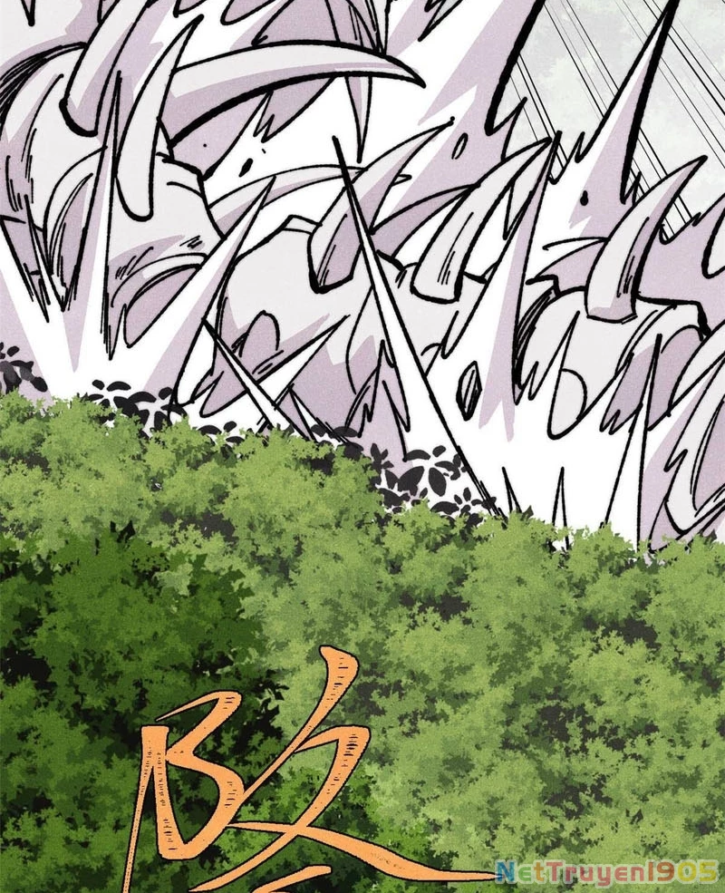 Vạn Cổ Tối Cường Tông Chapter 456 - 39