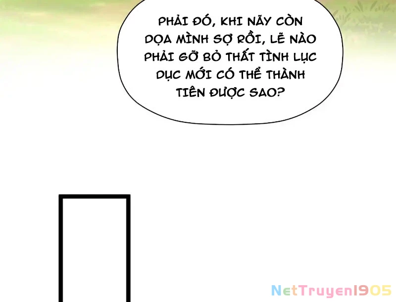 Đỉnh Cấp Khí Vận, Lặng Lẽ Tu Luyện Ngàn Năm Chapter 232 - 88