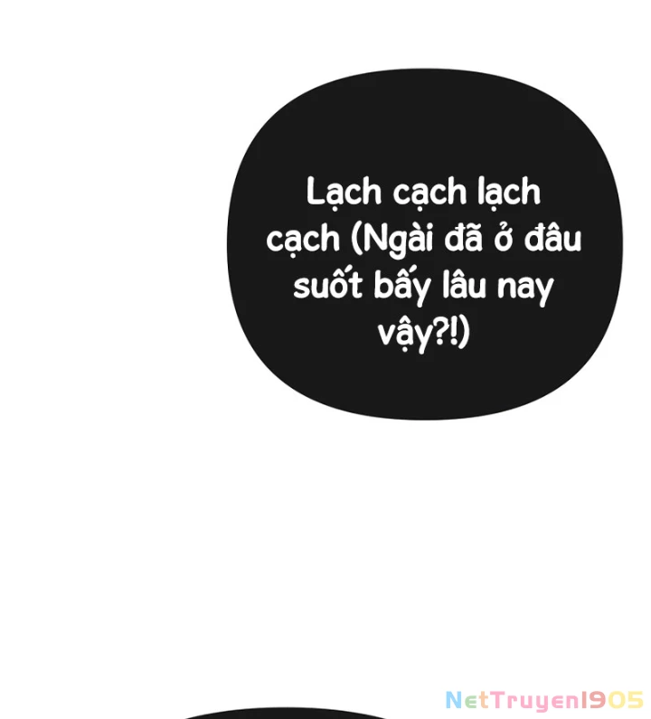 Ta Sẽ Phá Hủy Đất Nước Này Chapter 52 - 154