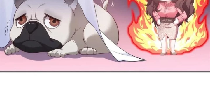 Cửa hàng sủng vật thần kỳ Chapter 7 - 12