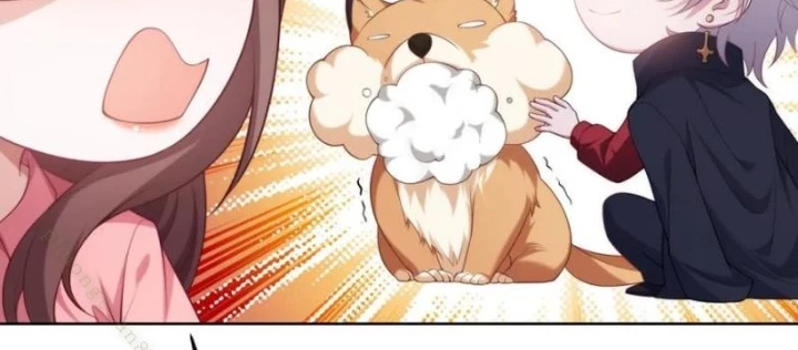 Cửa hàng sủng vật thần kỳ Chapter 7 - 54