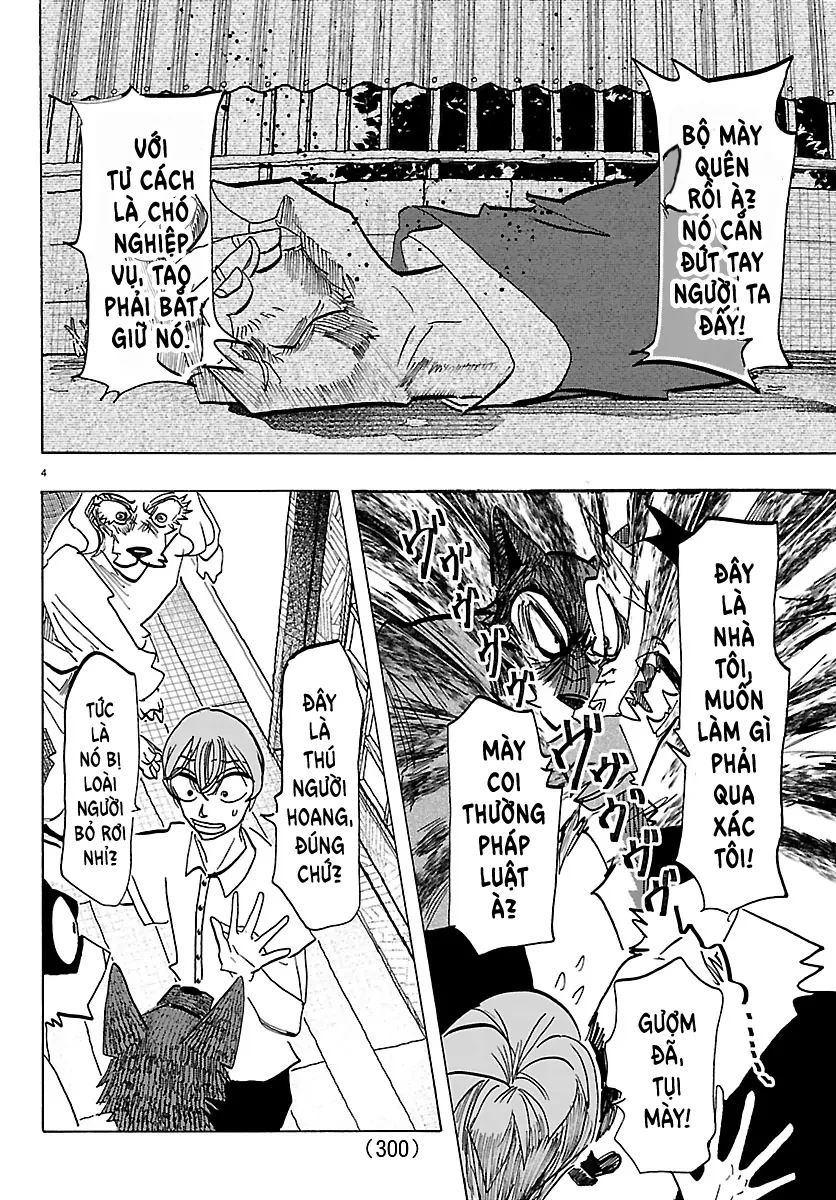 Lý Trí Của Taika Chapter 33 - 4